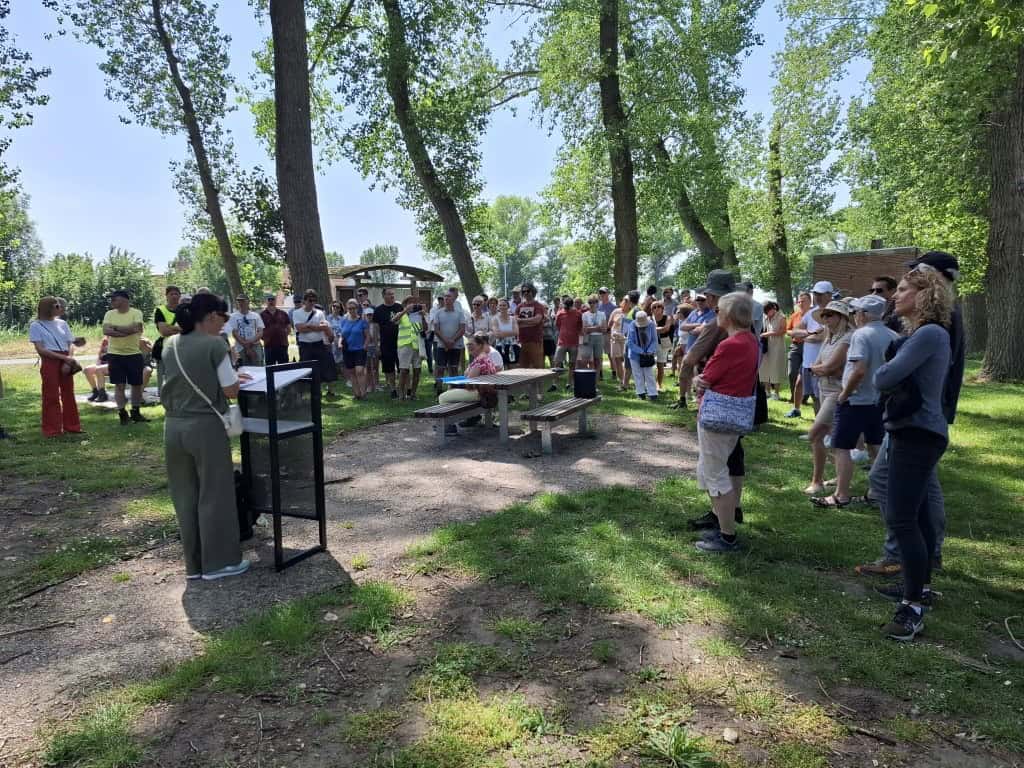 Voormalige landbouwgrond in Kwetshage bij Jabbeke wordt 60 hectare natte natuur tussen Kanaal Gent-Oostende en spoorlijn Brugge-Oostende