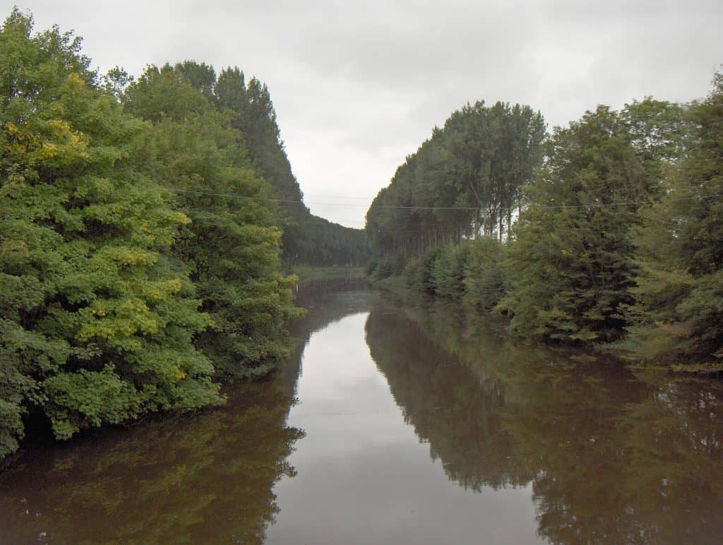 Rustige rivier omringd door groene bomen in Damme.